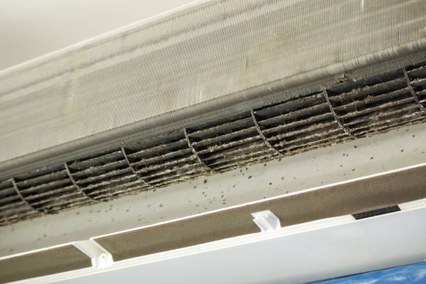 Best Home Air Vent Cleaning  in Olga, FL
